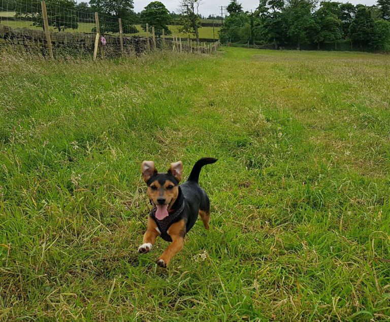 1208 362240467fe6bf565483996355f971ed 1 768x635