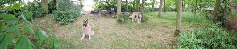 1208 4b6611e843725b7b31d8e824b15689e7 1 768x159