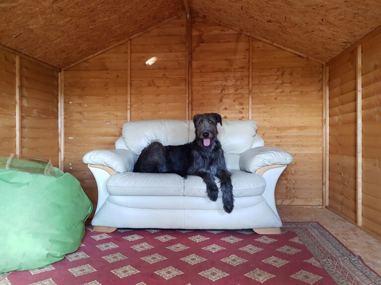 1208 68ee709b33fe2e8a44d2663d3e674f1d 1 768x576