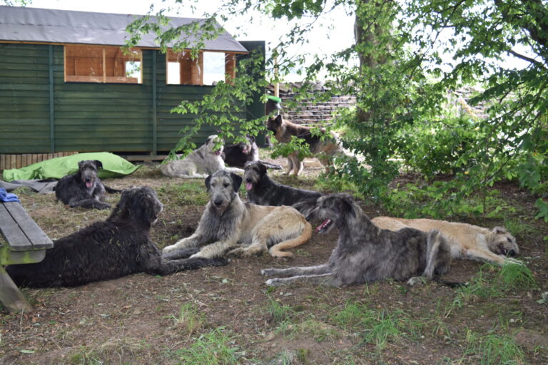 1208 e066bd9519b4c7d6987d9565d812b49d 1 scaled 768x512