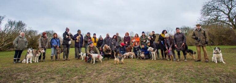 1211 1d41dbe597bd123c45ae0ebe36a73f42 1 768x270