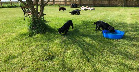 1218 1409680e5315c16770cf4b114c0fa410 1