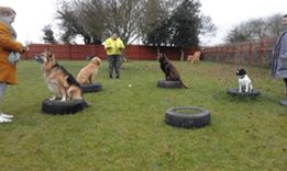 1218 14a25a80c3353884f6da612fd64f0bec 1