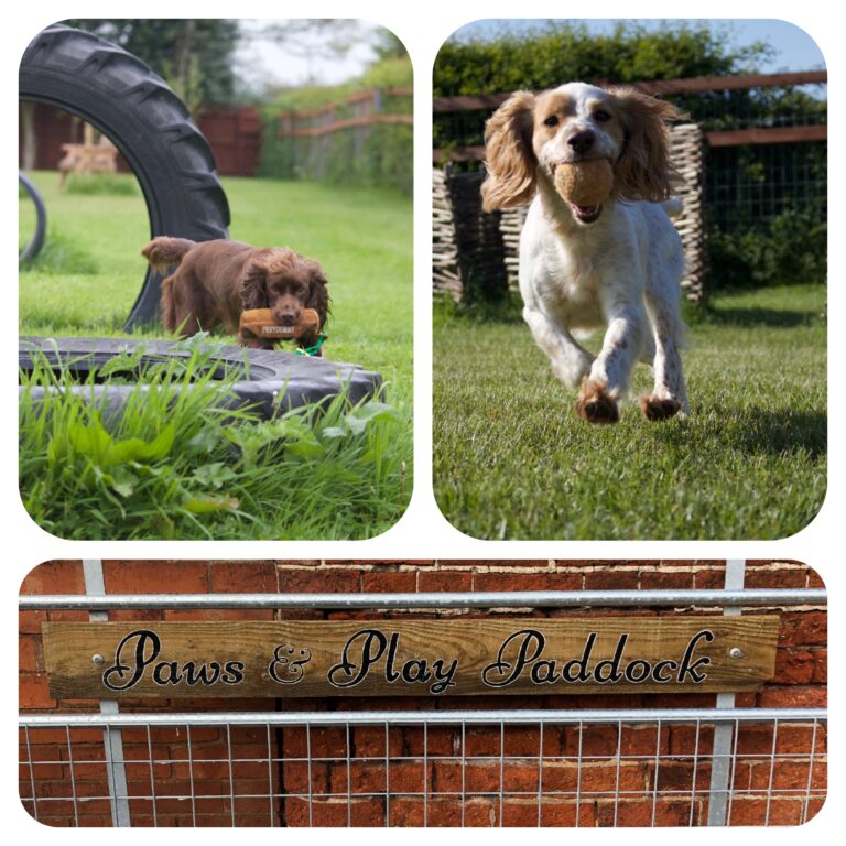 1218 1a8c556d7a1dde2dcb7b05baa9d6d50f 1 768x768