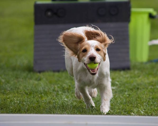 1218 25a1140ec91222a27c63dba12f565156 1