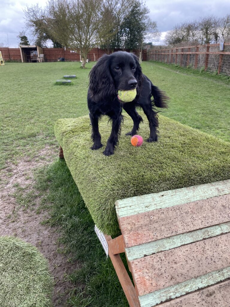 1218 43f2c8102d5efc13be6023ef8544c498 1 768x1024