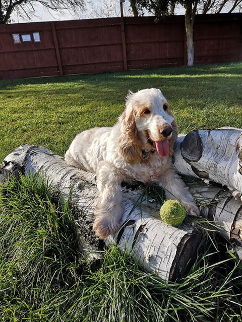 1218 4719fabfbf260cdce9002468337d6efe 1