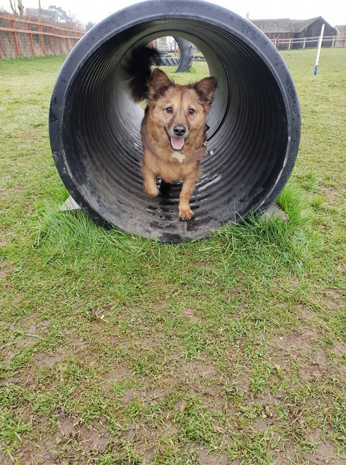 1218 50f4abc9edaee589ba7ba200bbd54193 1