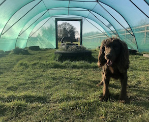 1218 7d05f057198e8b1ff22009862a9ab37d 1