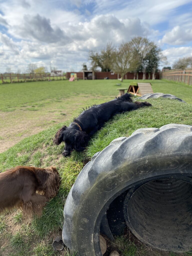 1218 843457a757ee48c85df7850d3fb5ec1c 1 768x1024