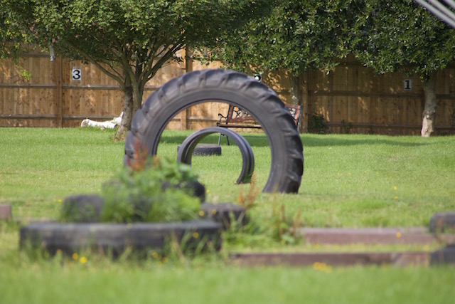 1218 8dd094b3a1b17d96ebb4c4a45b95b822 1