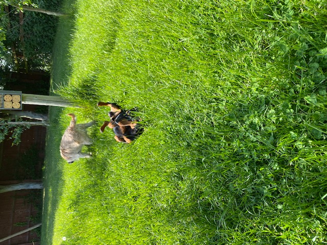 1218 9d6800e7702c69c15fe8ffa099bd2bb4 1