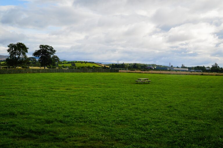 1220 c0641bce9140c8851445e404c82be515 1 768x511