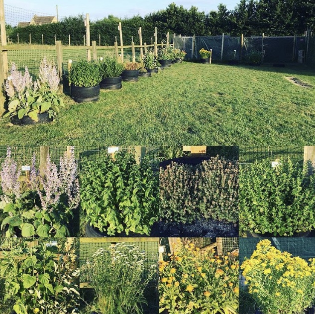 1222 1f55addb12d49a65921887d0fc3d2c1f 1