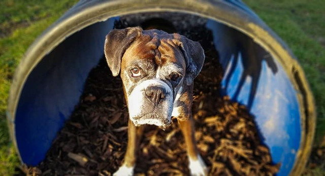 1226 1cd1cc1e8a383ef03c2e538a6751375a 1