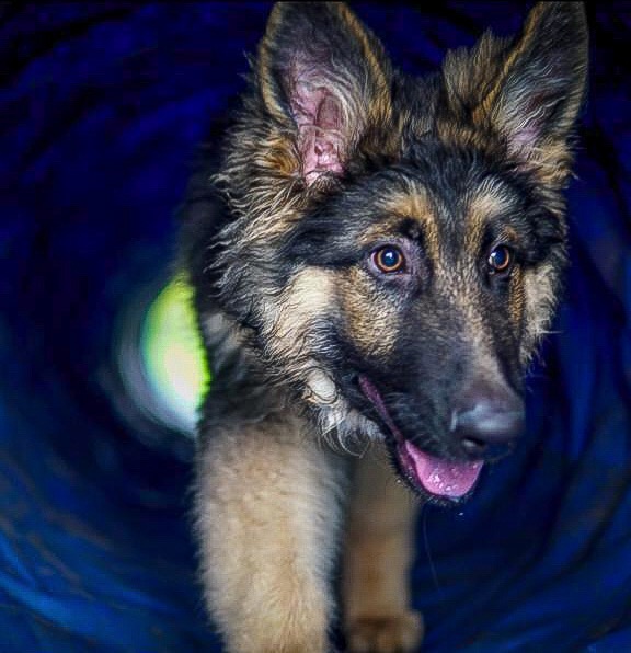 1226 22aba0246a178bd24492379f1b305486 1