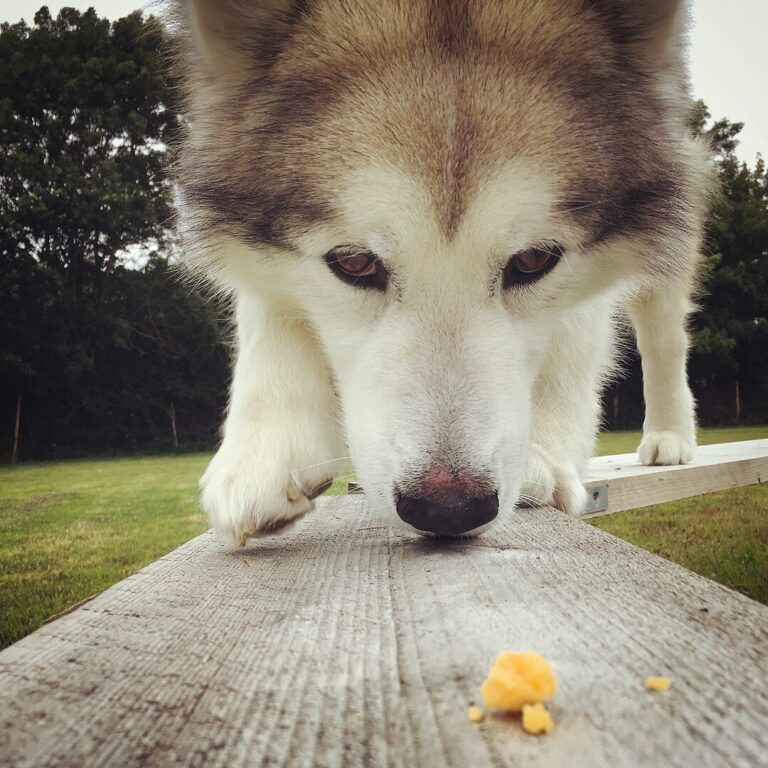 1226 41a766d86016bb72aa73def50a14a29f 1 768x768