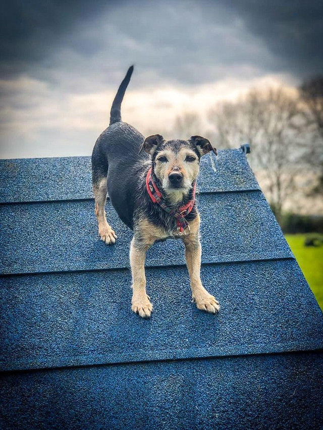 1226 795f0abc7b496fd4698d1ed3b245480f 1