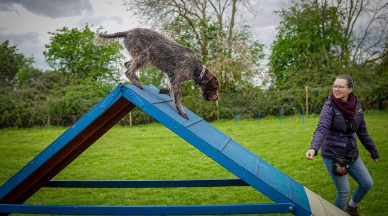 1226 84ad6f0a3640a249491c17452f43bd85 1 768x428