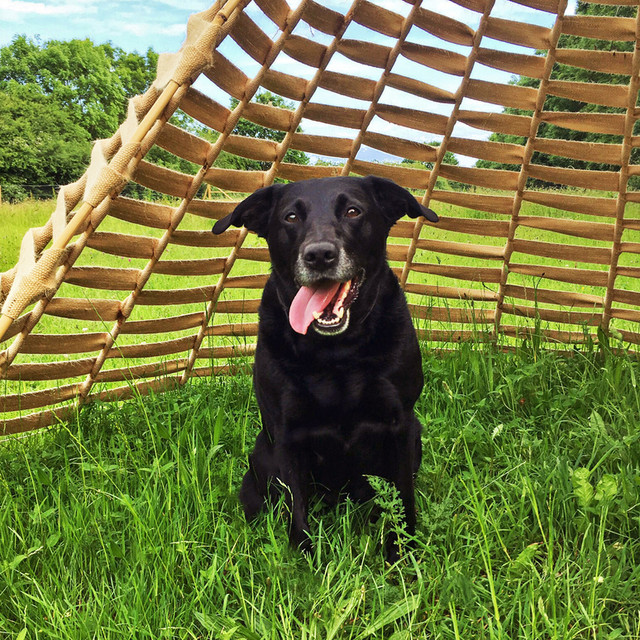 1226 9643c511e1ba12decca8efb15be393cb 1