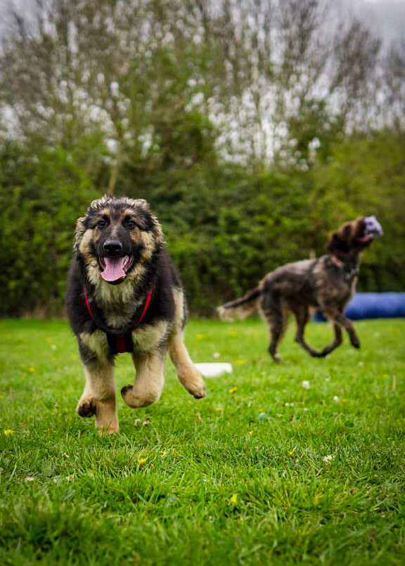 1226 99bcb64210c14a9844b597cbc8df1d32 1