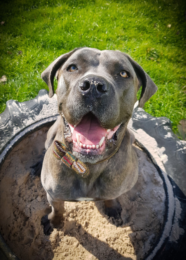 1226 bd9c9eccfa7c4d978907215126c2aac2 1