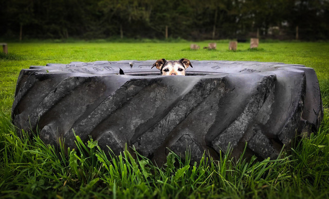 1226 ed9b5fe10108cdf4469c547e52ac5efb 1