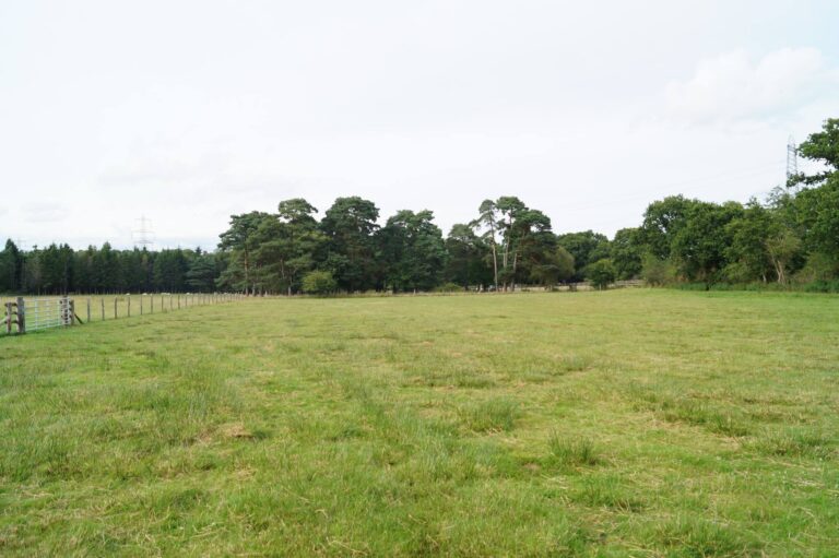 1228 066e4fd49b7d99baec60572a8dd2c042 1 768x511