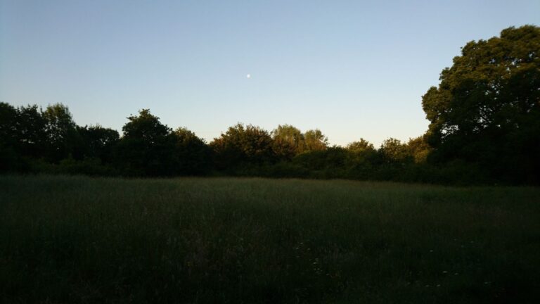 1228 246bf0a9e15f78b54daa4d01c95ac568 1 768x432