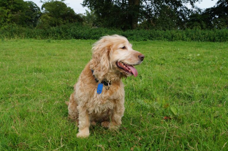 1228 37f88bfd9680213ad49a31fc681500b3 1 768x511