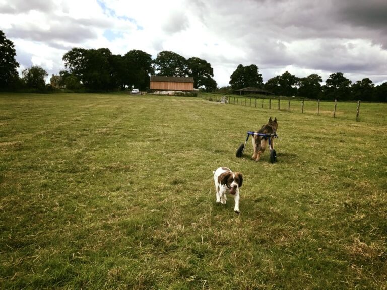 1228 4d3d2ff44b2ed6b48bb770873704a26c 1 768x576