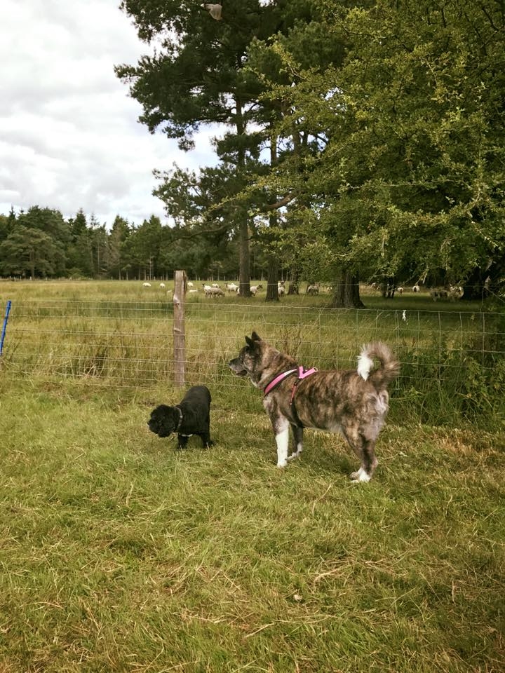 1228 9792d440289bda400a344fbf8423aa58 1