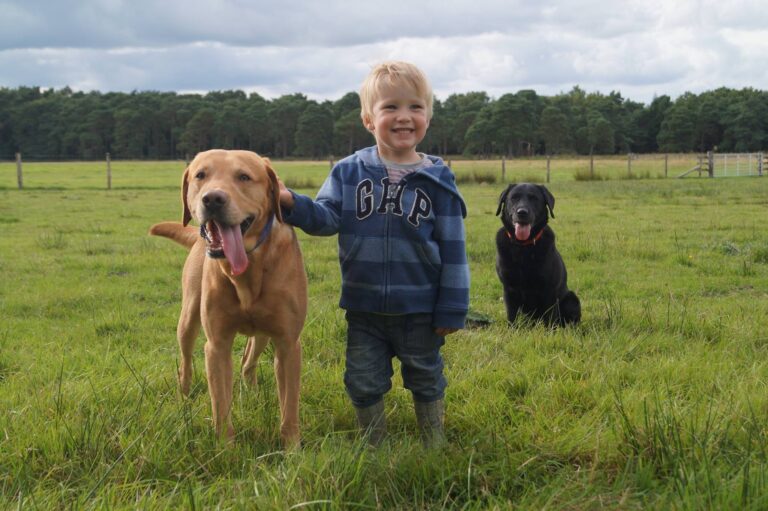 1228 dbe6ef2ce97347cef7e8fa61ba25b75e 1 768x511