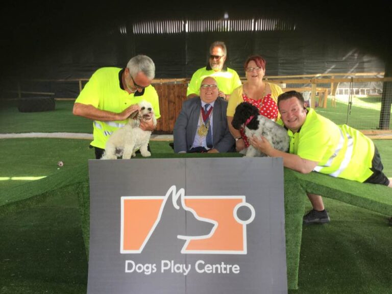 1229 588c75d7cfcd662a0c68b781efc5572d 1 768x576