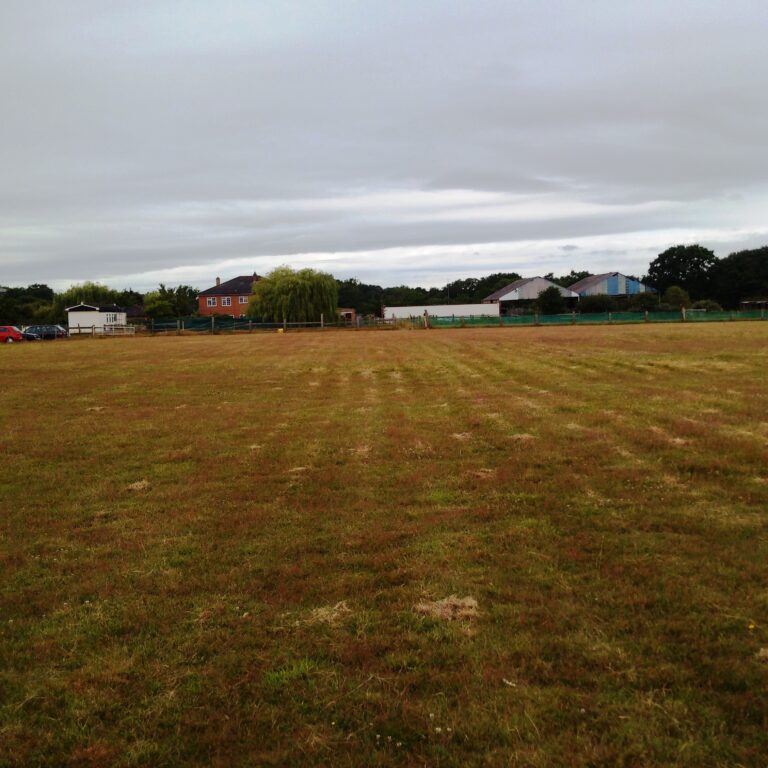 1229 958066e7e5d321503cd8614da4e0520f 1 768x768