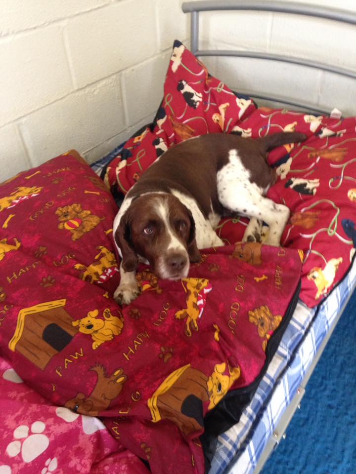 1229 97aea35fee25254f7c2b007d4f2c96b6 1