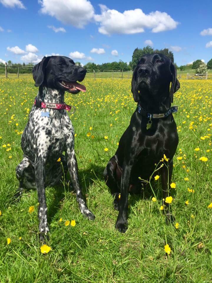 1229 cf8451a30631048b30ffa2802e9dbe99 1