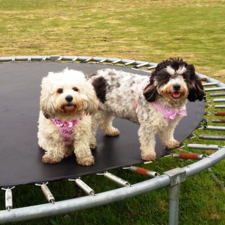 1229 e199e64a690eb9d9753d1e0aebe559cc 1 768x768