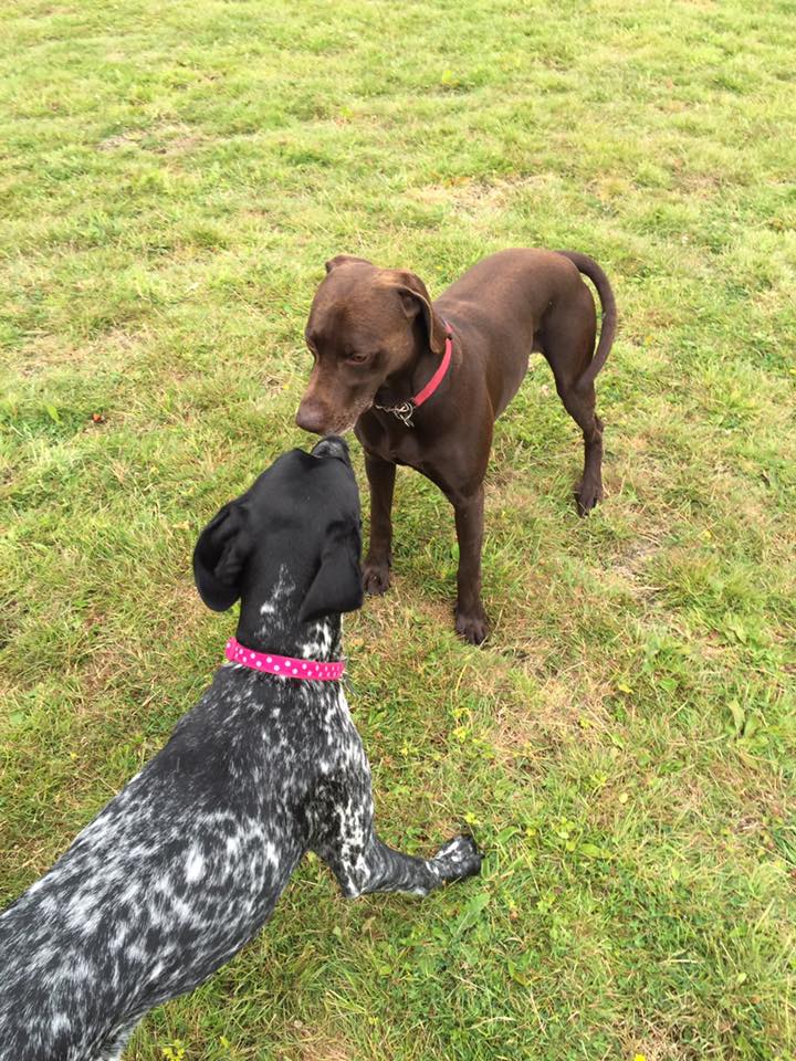 1229 eb94856264753c20daf2ea752096977c 1