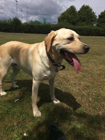 1229 ec1b193533a8057c9a1503f89b2ccaa0 1