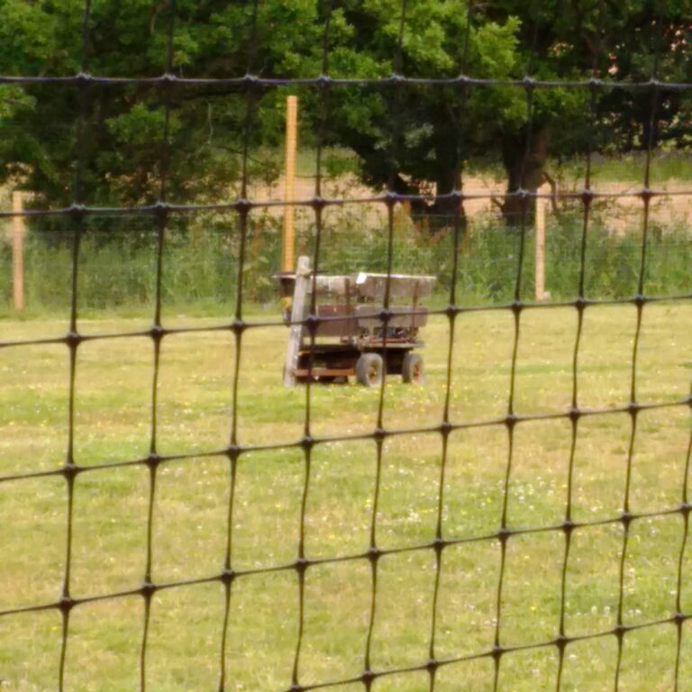 1229 f248bc8c456d3c2ddecefa238b75dde8 1 768x768