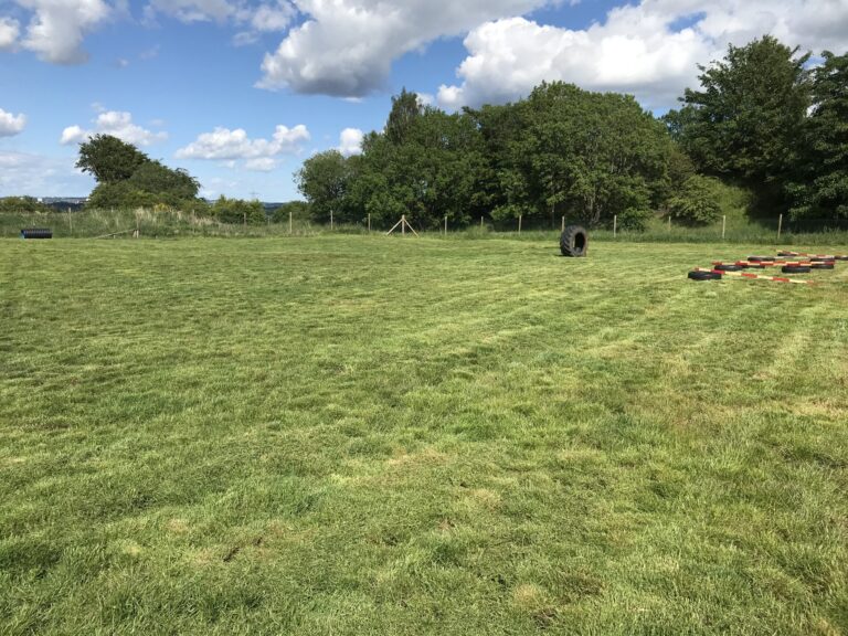 1231 7063f53a979eb89f0524e3774072074f 1 768x576