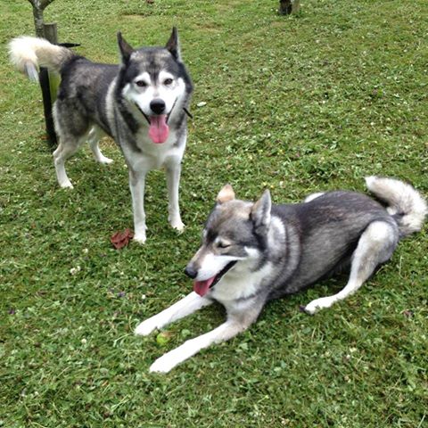 1232 a89bbfba937963418309eee2ff256025 1