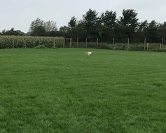 1234 4603be6a4daa828b78fca844e56d9099 1