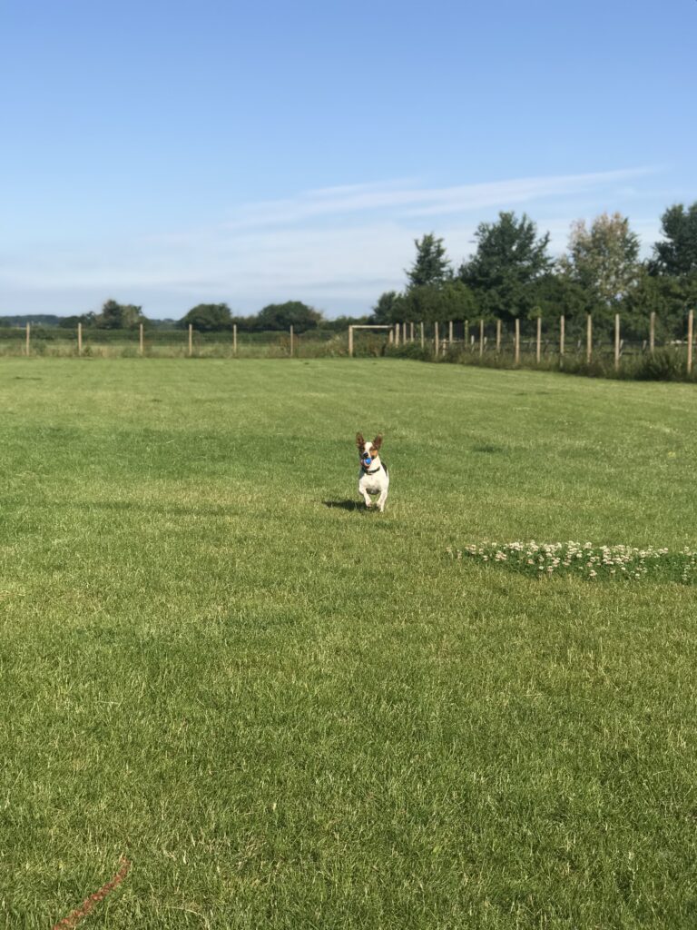 1234 a428a5b41c25765f74a334bf02fbb5b0 1 768x1024