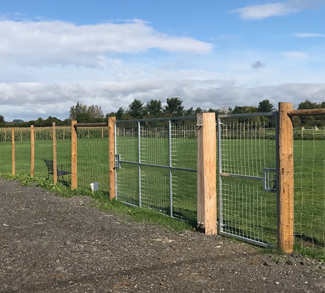 1234 c1c873692d7cdeedb8728db8758c052f 1