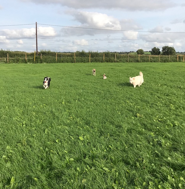 1234 e5cc66b15ff0e170be23e18cc8e94f40 1