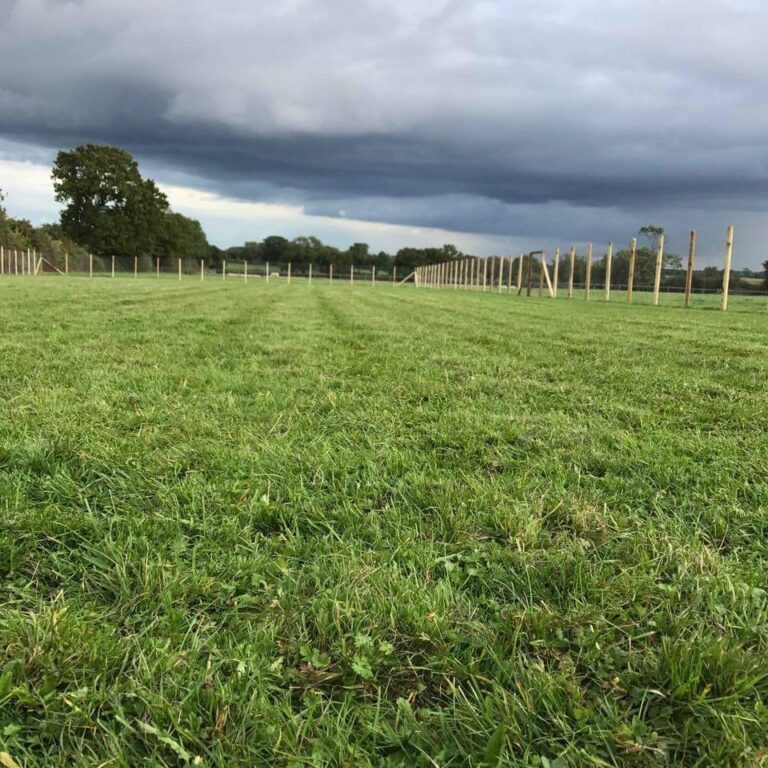 1236 1a208f99ad5a3367cd904e62665025ff 1 768x768