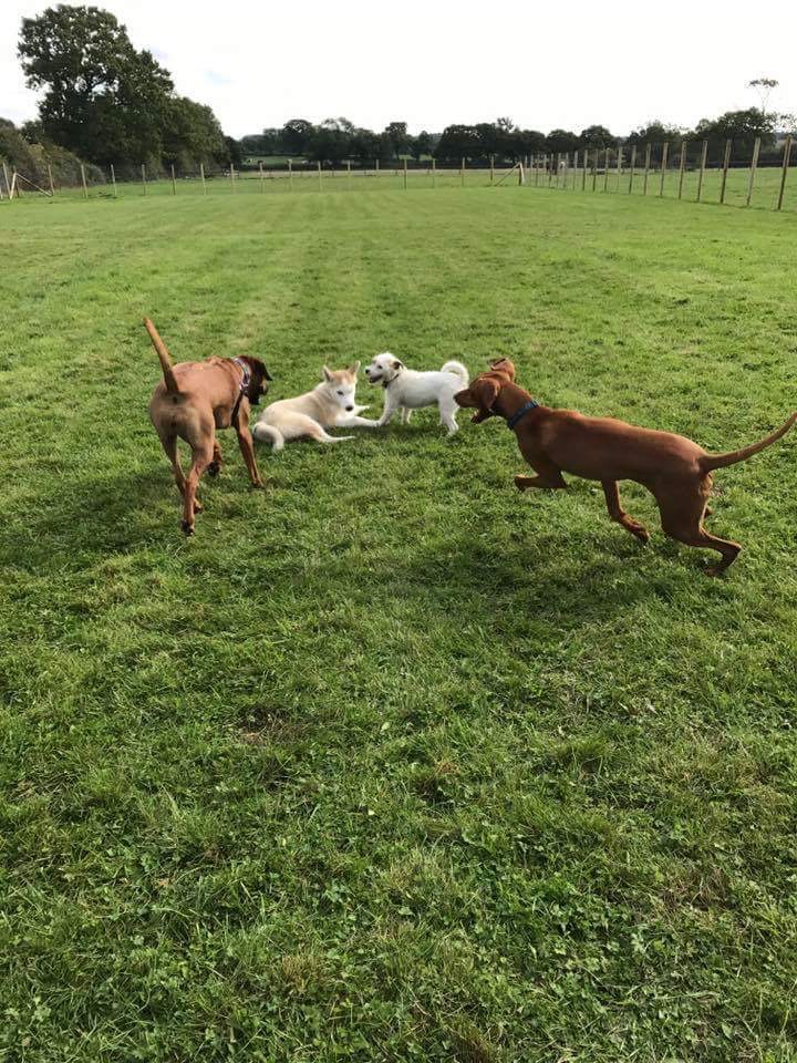 1236 2094aef4a1ae727f0eab3c30b1efb8e8 1