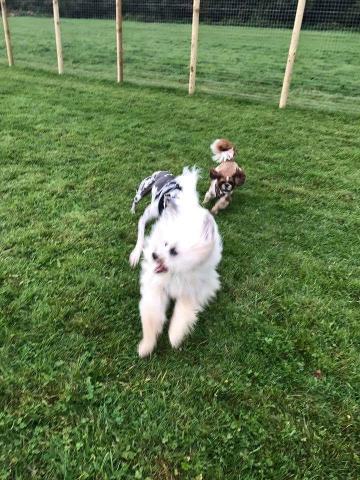 1236 2d1c6d0581cb7ac1ddd943474c0407eb 1